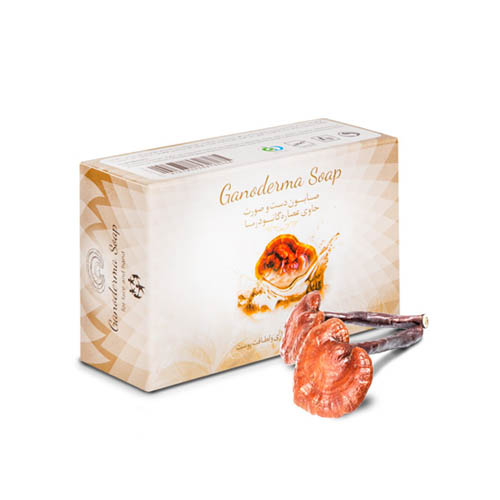 صابون قارچ گانودرما_دست و صورت